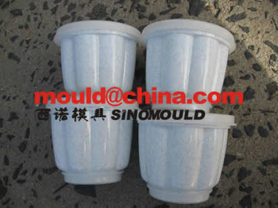 food container mould